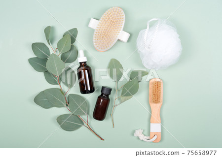 Essential oils, facial creme container and massage brushes with natural eucalyptus leaves on green background. Beauty products, massage tools, facial skin care, spa beauty treatment concept. Flat lay Essential oils, facial creme container and massage brushes with natural eucalyptus leaves on green background. Beauty products, massage tools, facial skin care, spa beauty treatment concept. Flat lay 75658977