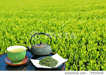 初夏茶園和新茶 初夏茶園和新茶 75659246