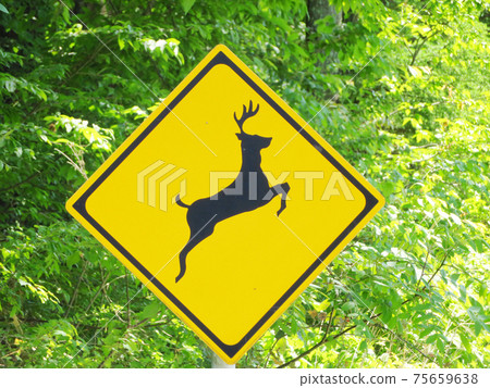 Deer popping out, animal caution road sign 75659638