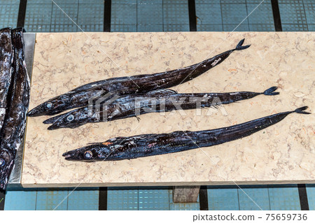 Black scabbard fish Black scabbard fish 75659736