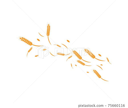 wheat background Template 75660116