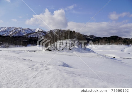 Aoyama dam winter 75660192