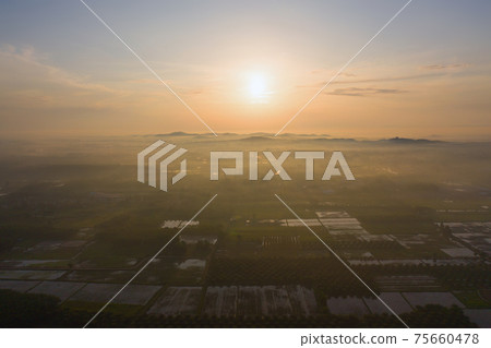 Aerial top view of fresh paddy rice and forest trees, green agricultural fields in countryside or rural area, mountain hills valley at sunset in Asia. Nature landscape background at sunset. 75660478