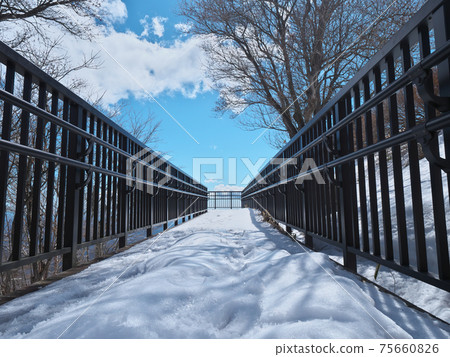 Kirifuri Plateau March Observation Deck 75660826