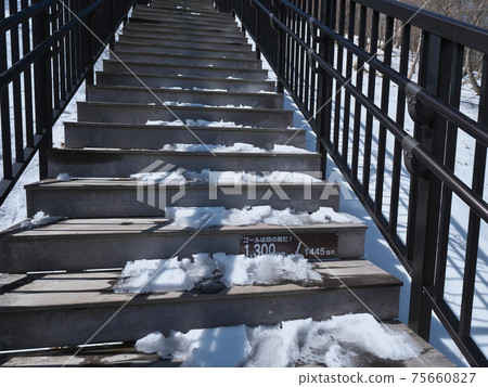 Kirifuri Plateau March stairs 75660827