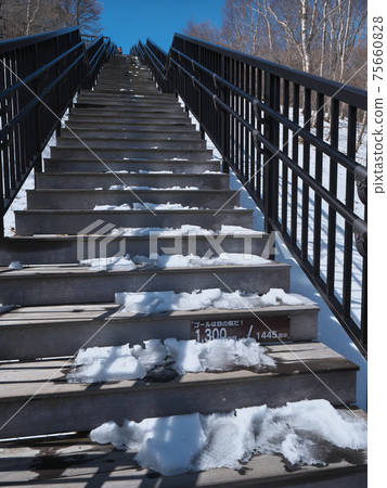 Kirifuri Plateau March stairs 75660828