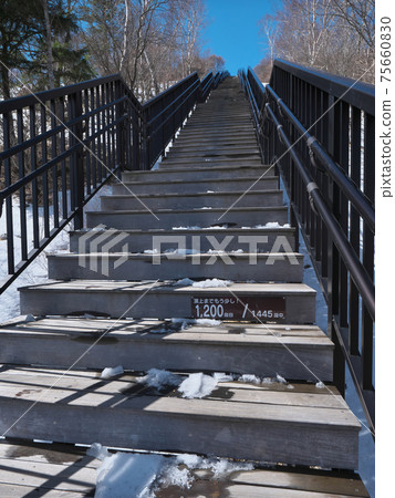 Kirifuri Plateau March stairs 75660830