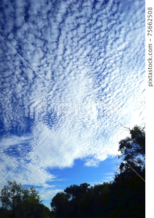 雲秤 雲秤 75662508