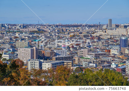 鳥瞰多摩區Noborito，川崎，中之島和東京調布 75663748