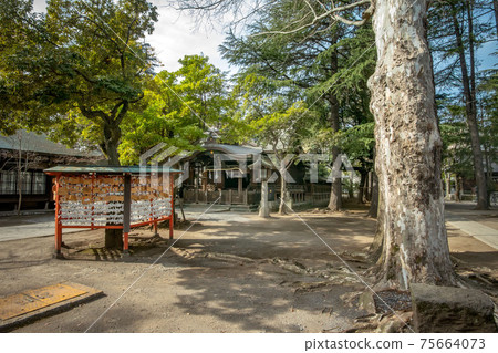 Kawaguchi Shrine in Kawaguchi City, Saitama Prefecture and Umenokiten Shrine in the precincts Kawaguchi Shrine in Kawaguchi City, Saitama Prefecture and Umenokiten Shrine in the precincts 75664073