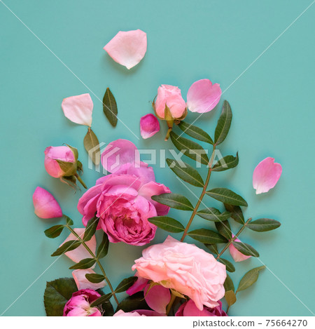 Creative layout made with pink flowers on blue background. Flat lay. 75664270