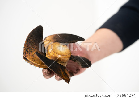 通風風扇污垢清潔 75664274