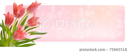 Bouquet of realistic tulips on a pink background. Composition of pink tulips buds. Template for invitation card, banner, poster with spring flowers. Vector illustration Bouquet of realistic tulips on a pink background. Composition of pink tulips buds. Template for invitation card, banner, poster with spring flowers. Vector illustration 75665518