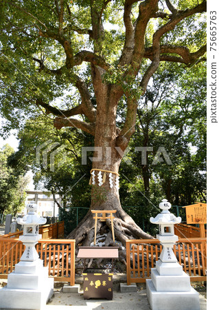 Otori Taisha Shrine, Okusu (Sakai City, Osaka Prefecture) Otori Taisha Shrine, Okusu (Sakai City, Osaka Prefecture) 75665763