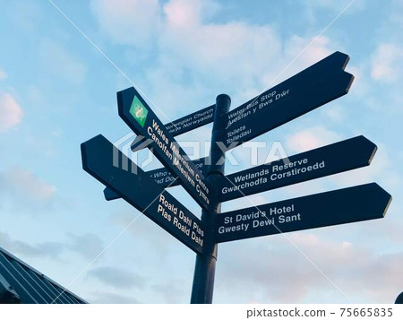 European road 75665835