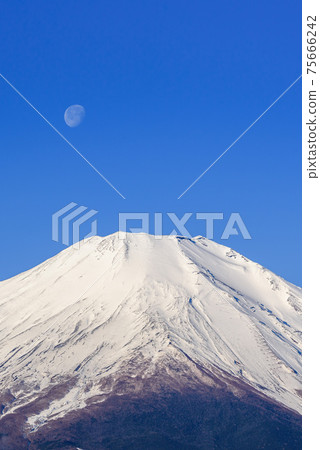 Clear sky, the summit of Mt. Fuji and the moon 75666242