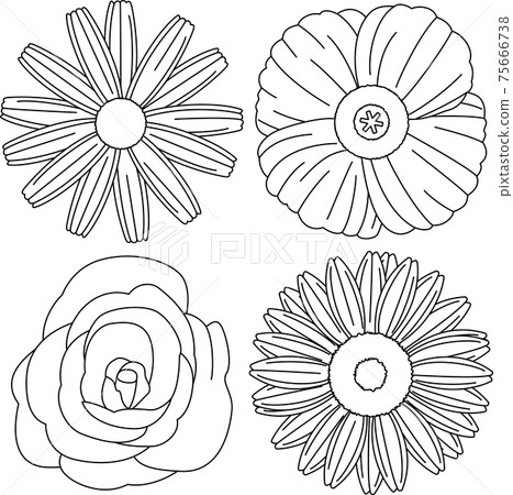 Simple illustrations of various kinds of flowers (line art) Simple illustrations of various kinds of flowers (line art) 75666738