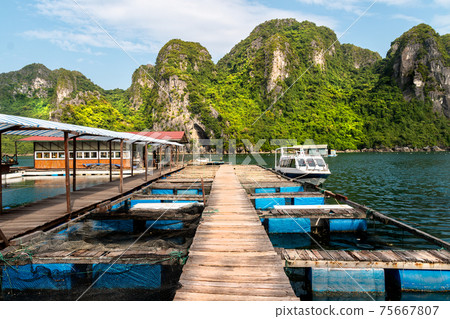 Scene at Halong Bay in Vietnam - Pearl Farm 75667807