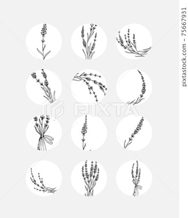 Social media story highlights covers. Abstract flowers and leaves Social media story highlights covers. Abstract flowers and leaves 75667931