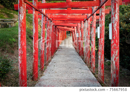 Torii Gates of the Motonosumi Inari Shrine in Yamaguchi, Japan Torii Gates of the Motonosumi Inari Shrine in Yamaguchi, Japan 75667958