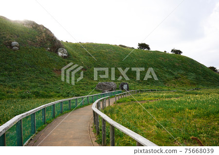 靜岡縣下田市的筑波崎海岸 靜岡縣下田市的筑波崎海岸 75668039
