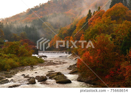 Hayade River Valley(新潟縣)的秋葉 Hayade River Valley(新潟縣)的秋葉 75668654