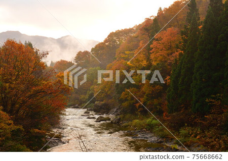 Autumn leaves in the Hayade River Valley (Niigata Prefecture) Autumn leaves in the Hayade River Valley (Niigata Prefecture) 75668662