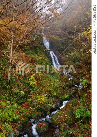 Meotodaki in the Hayade River Valley (Niigata Prefecture) Meotodaki in the Hayade River Valley (Niigata Prefecture) 75668853