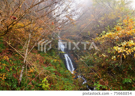 Meotodaki in the Hayade River Valley (Niigata Prefecture) Meotodaki in the Hayade River Valley (Niigata Prefecture) 75668854