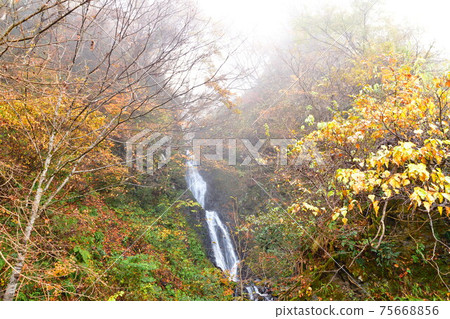 Meotodaki in the Hayade River Valley (Niigata Prefecture) Meotodaki in the Hayade River Valley (Niigata Prefecture) 75668856