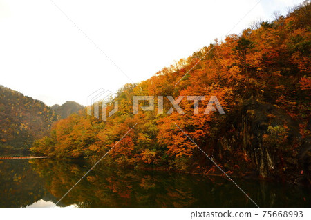 Autumn leaves of Hayade River Dam (Niigata Prefecture) Autumn leaves of Hayade River Dam (Niigata Prefecture) 75668993