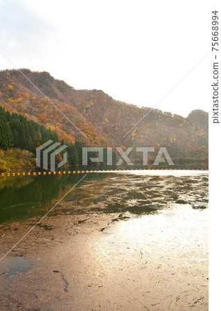 Autumn leaves of Hayade River Dam (Niigata Prefecture) Autumn leaves of Hayade River Dam (Niigata Prefecture) 75668994