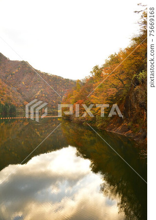 Autumn leaves of Hayade River Dam (Niigata Prefecture) Autumn leaves of Hayade River Dam (Niigata Prefecture) 75669168