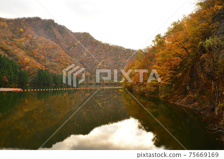 Autumn leaves of Hayade River Dam (Niigata Prefecture) Autumn leaves of Hayade River Dam (Niigata Prefecture) 75669169