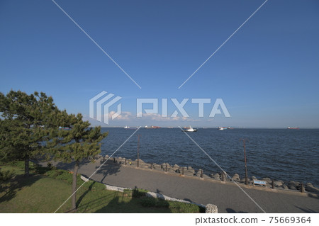 Sea Fishing Park @ Daikoku Pier Sea Fishing Park @ Daikoku Pier 75669364
