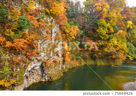 Hayade River Valley(新潟縣)的秋葉 Hayade River Valley(新潟縣)的秋葉 75669426