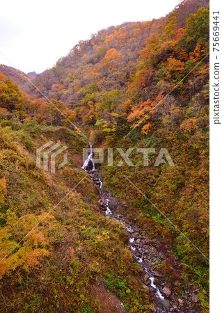 Hayade River Valley(新潟縣)的秋葉 Hayade River Valley(新潟縣)的秋葉 75669441