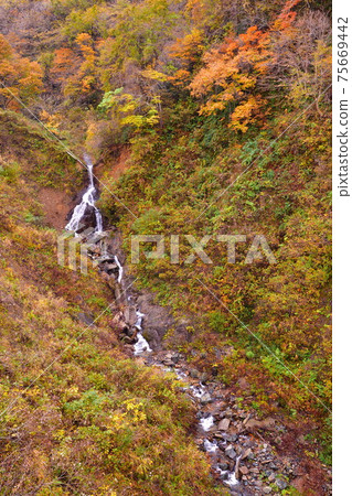 Hayade River Valley(新潟縣)的秋葉 Hayade River Valley(新潟縣)的秋葉 75669442