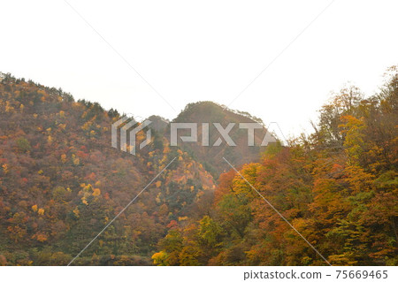 Hayade River Valley(新潟縣)的秋葉 Hayade River Valley(新潟縣)的秋葉 75669465