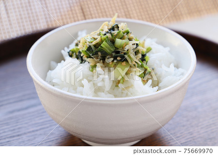 炒芥末菠菜和日本ri子 75669970