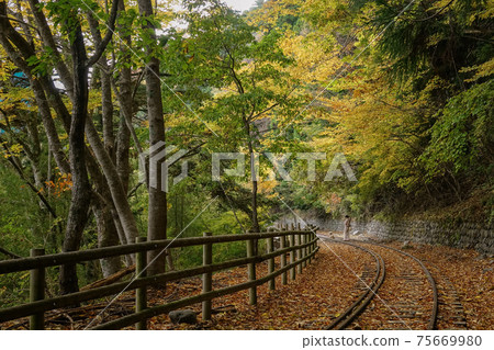 Woods Woods 75669980