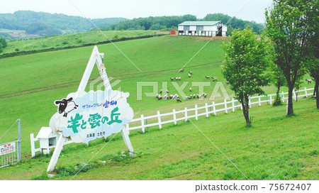 北海道Shibetsu市Sheep and Cloud Hill 北海道Shibetsu市Sheep and Cloud Hill 75672407