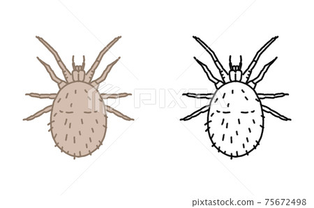 Pest single tick illustration 75672498