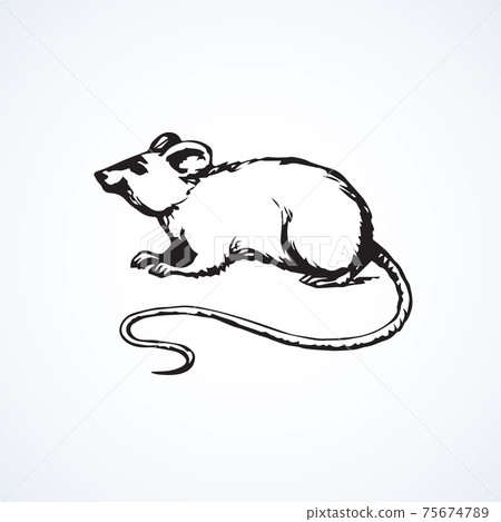 Mouse. Vector drawing Mouse. Vector drawing 75674789