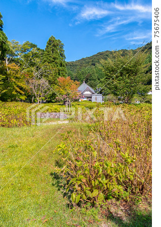 Summer Landscape in Yamaguchi, Japan 75675406