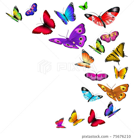 background with flying butterflies - Stock Illustration [75676210] - PIXTA