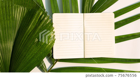 Opened notebook on tropical palm leaves. 75676556