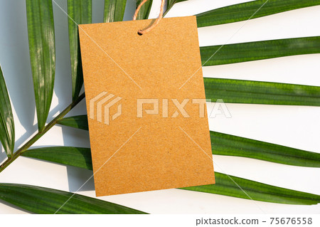 Blank brown paper on tropical palm leaves. 75676558