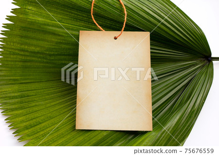 Blank brown paper on tropical palm leaves on white. 75676559
