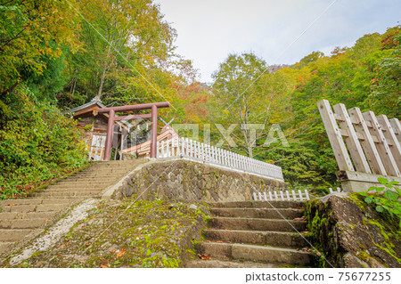 Togakushi Shrine Oku Shrine, Togakushi, Nagano Prefecture 75677255